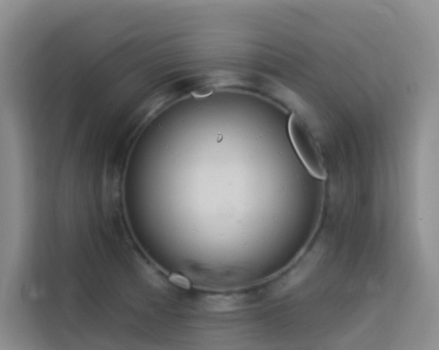 X0000114131185200910081238