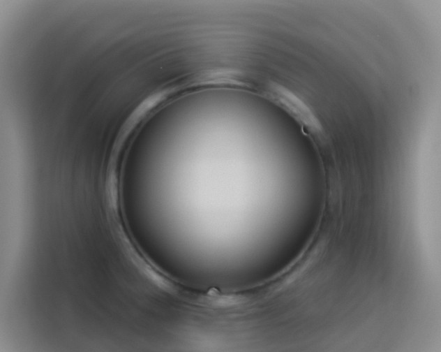 X0000114131188200910081238