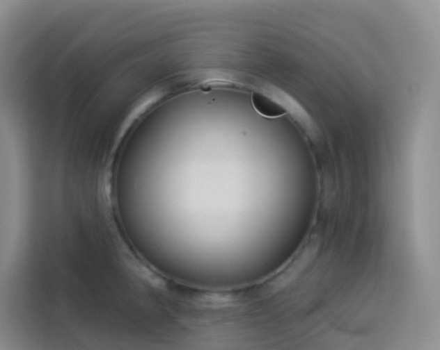 X0000114131190200910081238