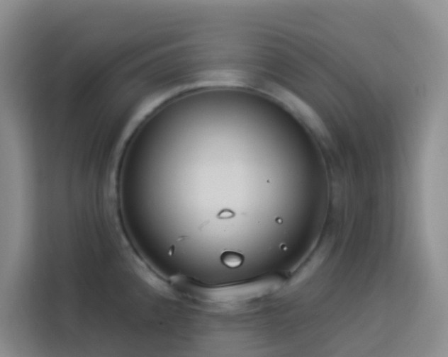 X0000114131192200910081238
