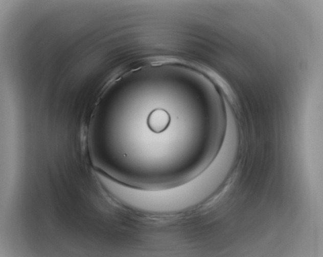 X0000114131193200910081238