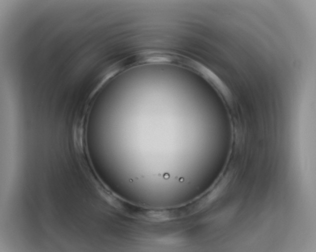 X0000114131194200910081238