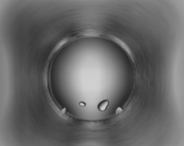X0000114131195200910081238