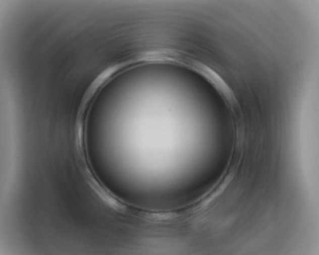 X0000114131196200910081238