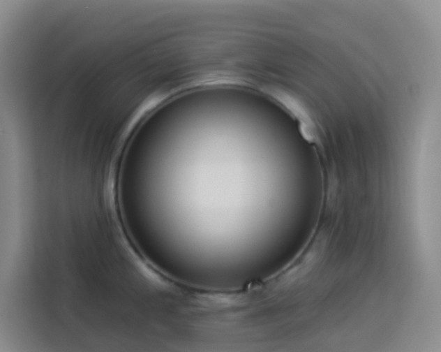 X0000114131197200910081238