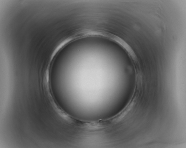 X0000114131198200910081238