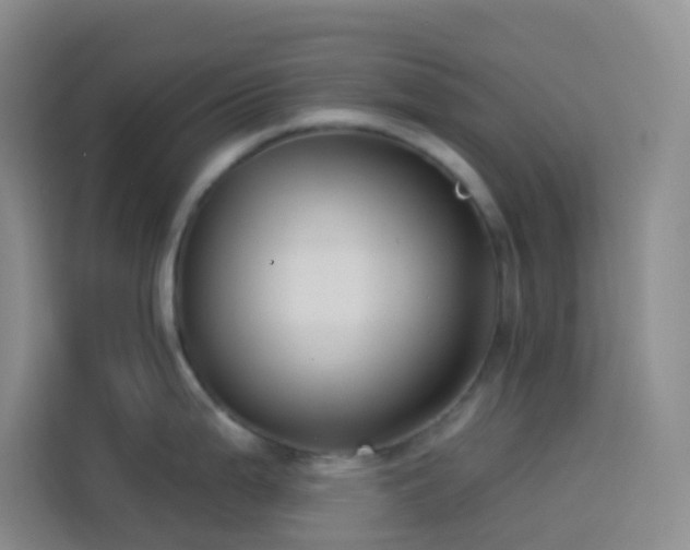 X0000114131199200910081238