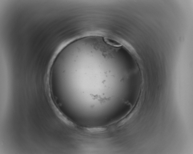 X0000114131200200910081238