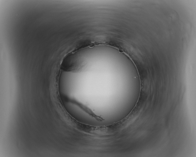 X0000114131201200910081237