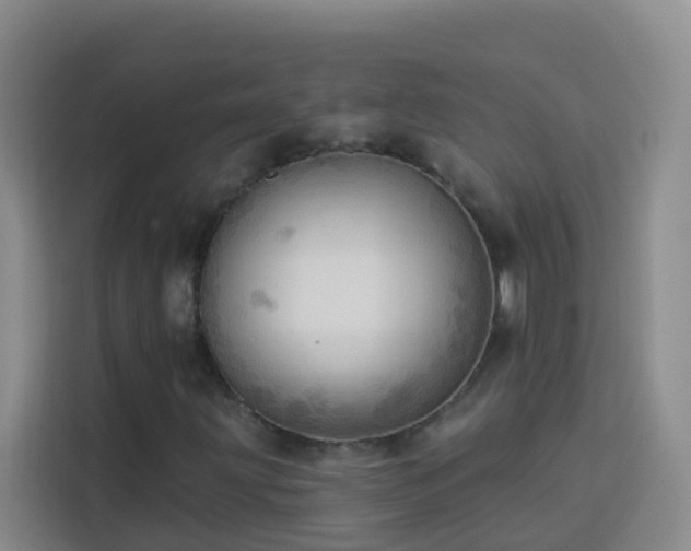 X0000114131203200910081237