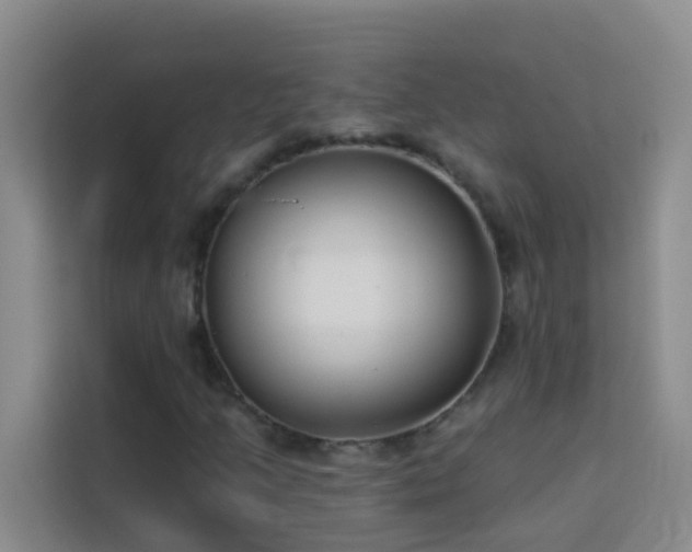 X0000114131205200910081237