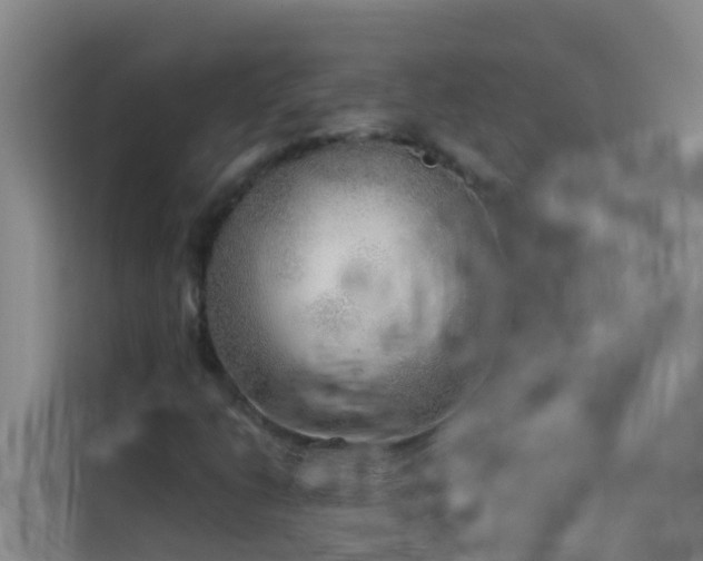 X0000114131206200910081237
