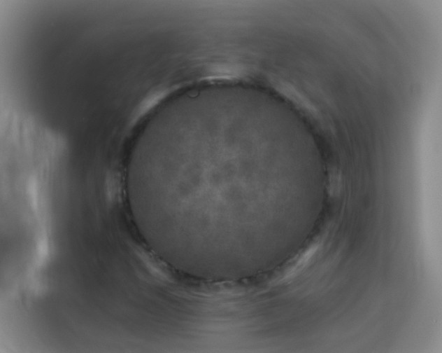 X0000114131208200910081237