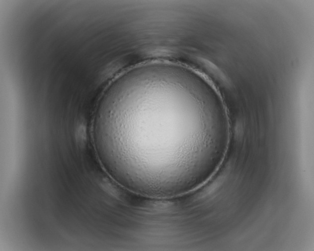 X0000114131209200910081237