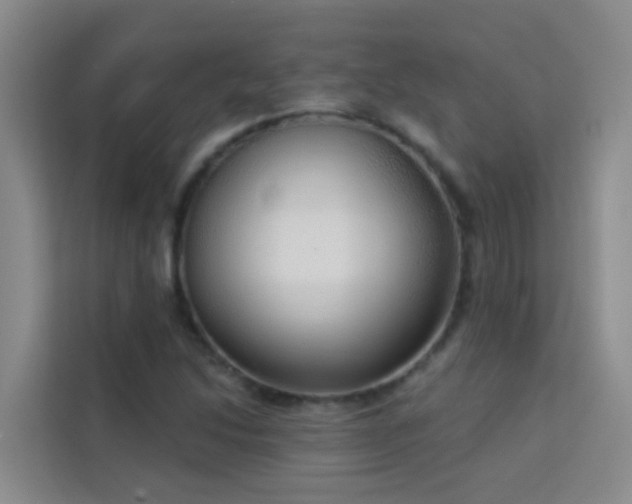 X0000114131214200910081237
