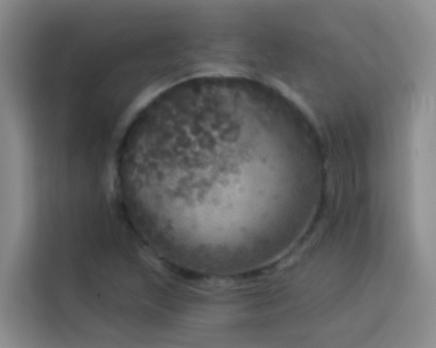 X0000114131215200910081237