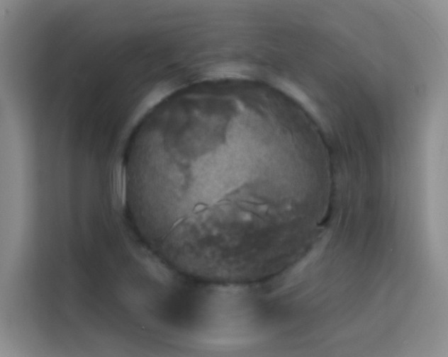 X0000114131219200910081237