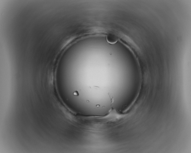 X0000114131220200910081237