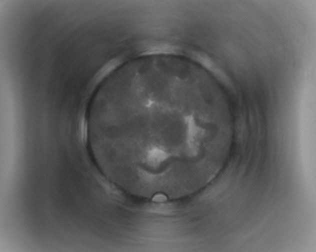 X0000114131221200910081237