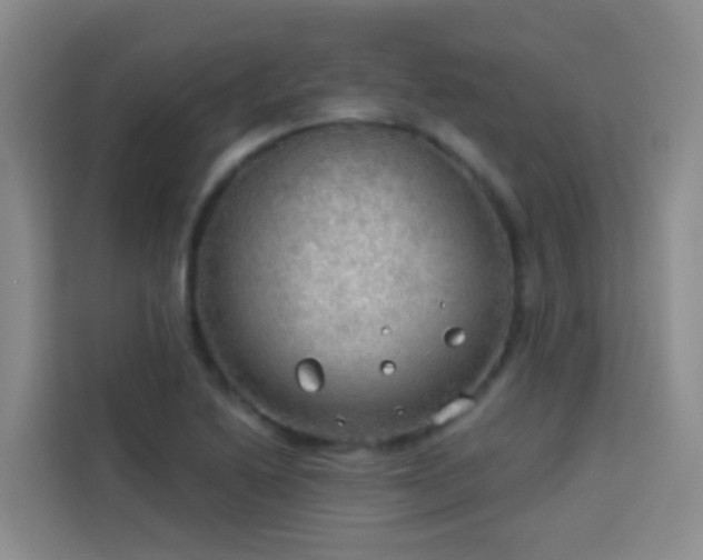 X0000114131222200910081237