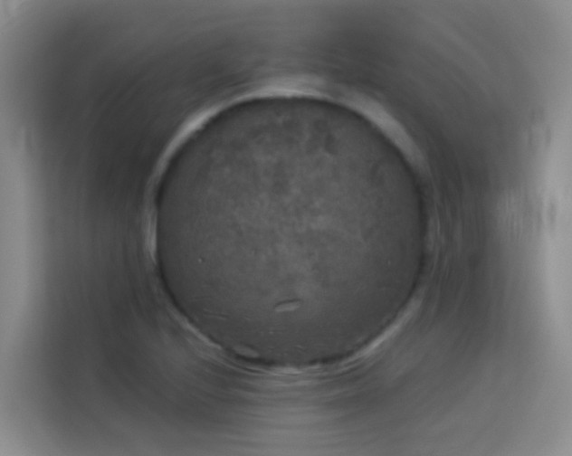 X0000114131224200910081237