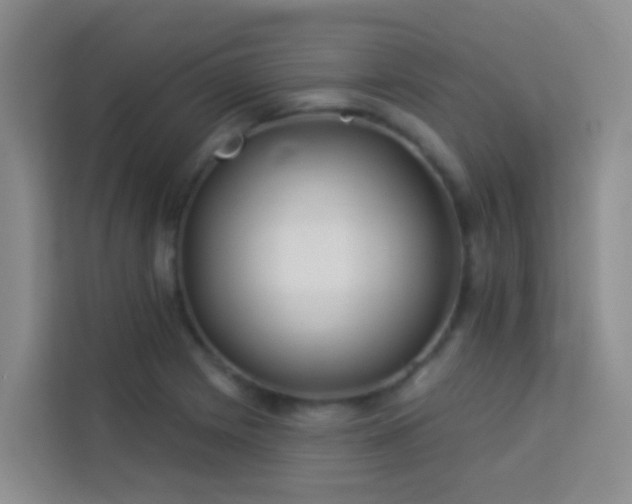 X0000114131225200910081237