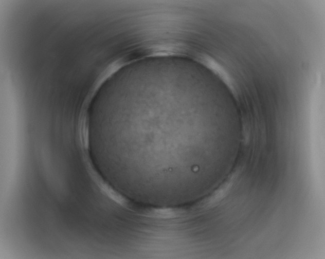 X0000114131227200910081237