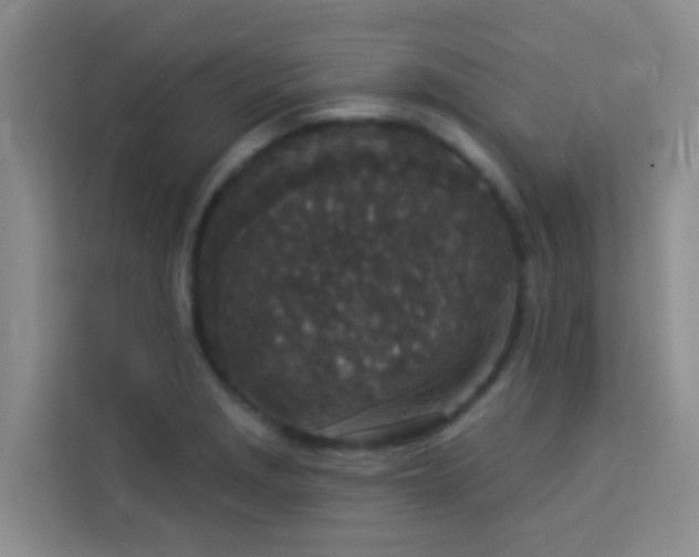 X0000114131229200910081237