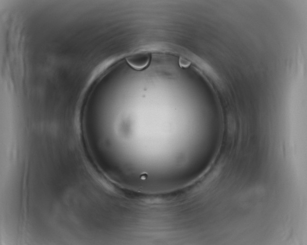 X0000114131230200910081237