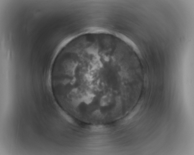 X0000114131231200910081237