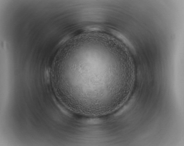 X0000114131233200910081237