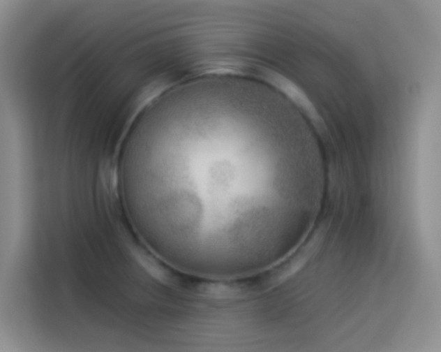 X0000114131234200910081237