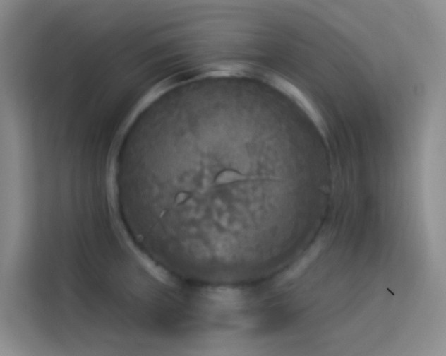 X0000114131235200910081237
