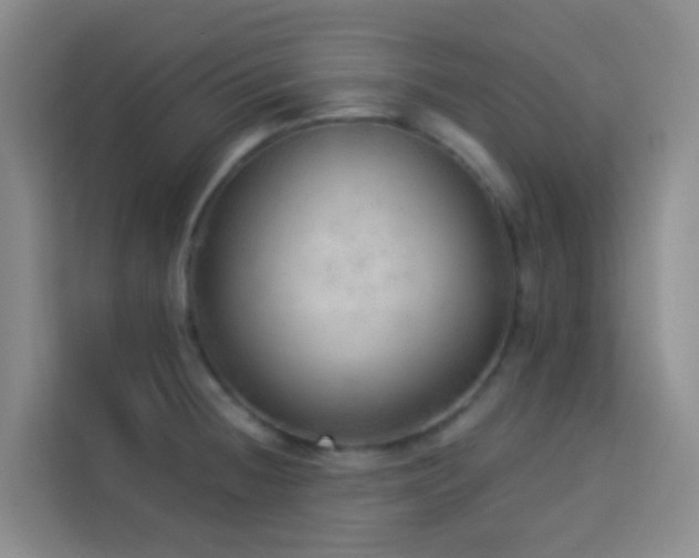 X0000114131236200910081237
