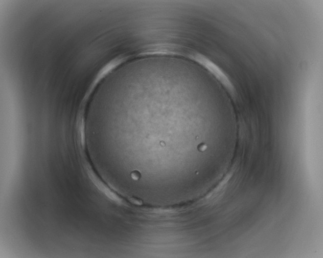 X0000114131238200910081238