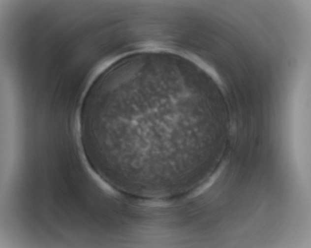 X0000114131239200910081238