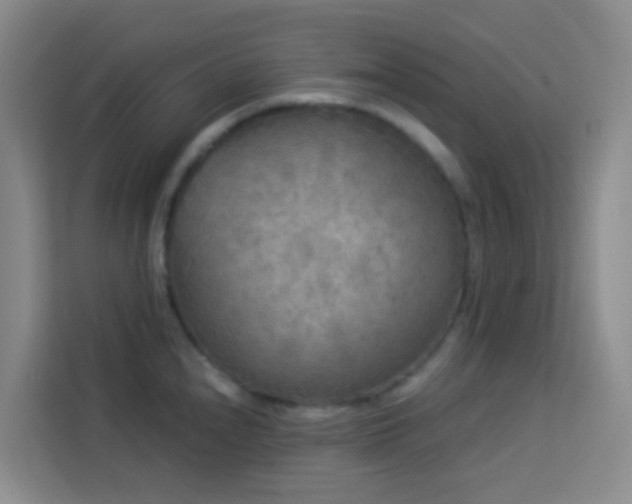X0000114131240200910081238