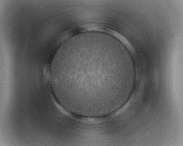 X0000114131241200910081238