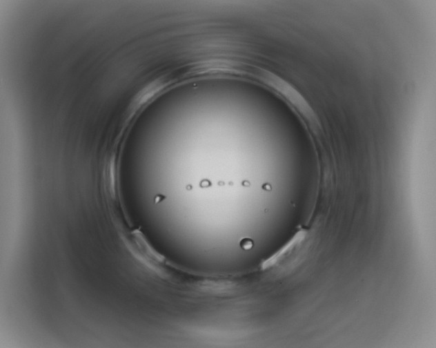 X0000114131242200910081238