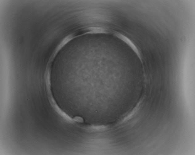 X0000114131243200910081238