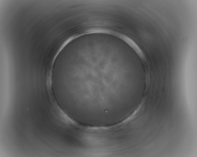 X0000114131244200910081238