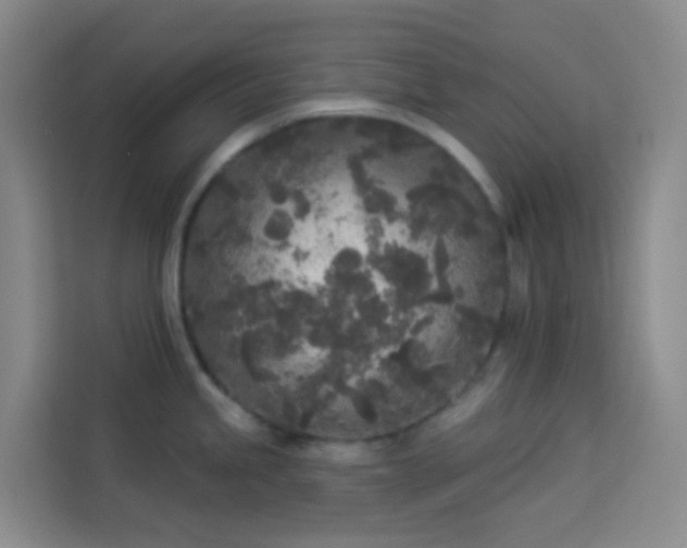 X0000114131245200910081238