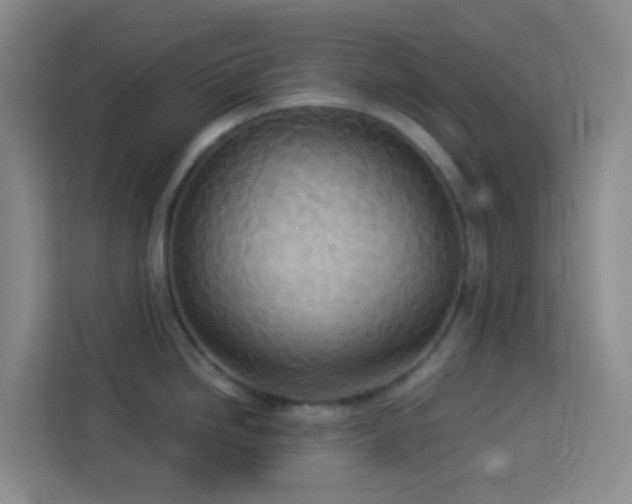 X0000114131246200910081238
