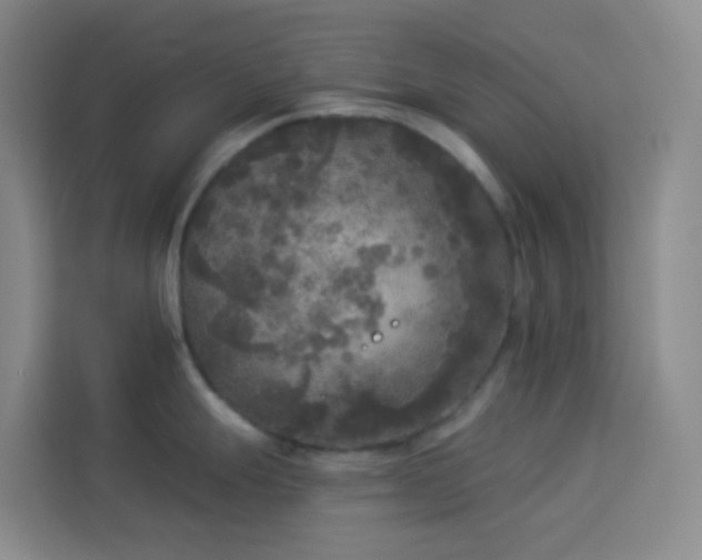 X0000114131247200910081238