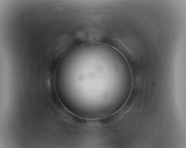 X0000114131250200910081237