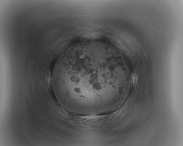 X0000114131251200910081237