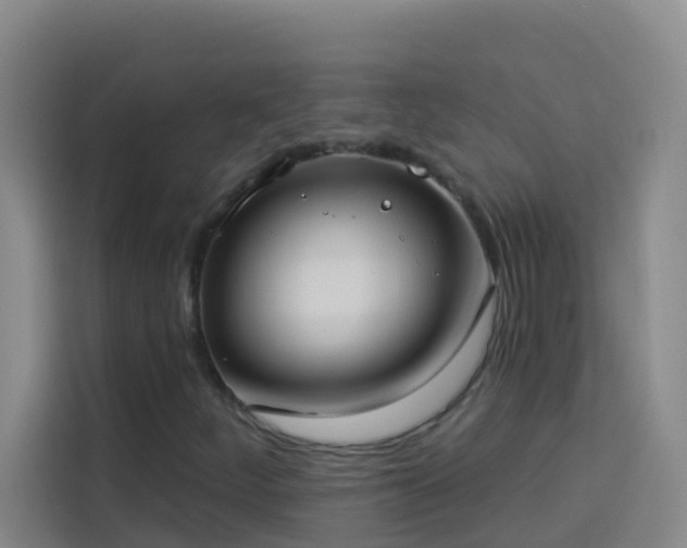 X0000114131252200910081237