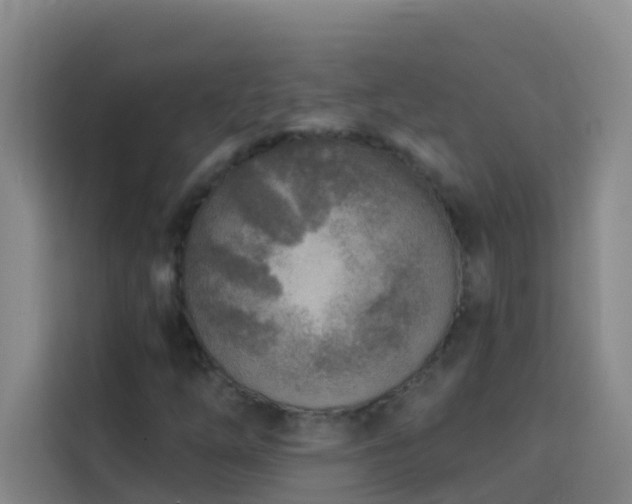 X0000114131254200910081237