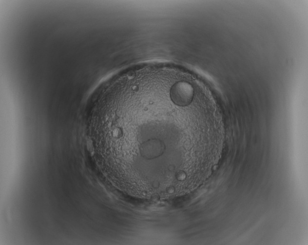 X0000114131255200910081237