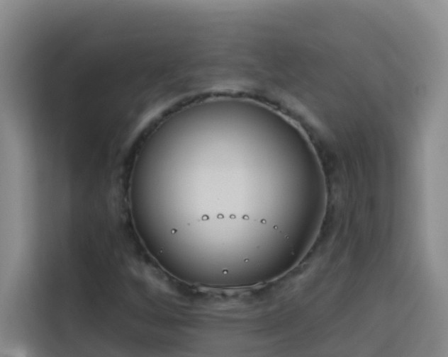 X0000114131256200910081237
